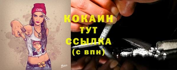 стафф Вязьма