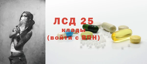 стафф Вязьма