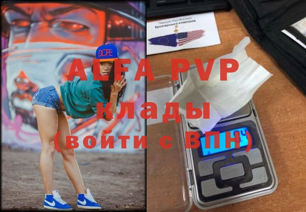 стафф Вязьма
