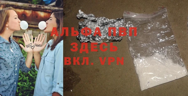 стафф Вязьма